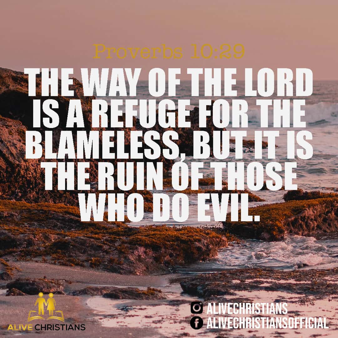 The Way Of The Lord Refuge To The Blameless