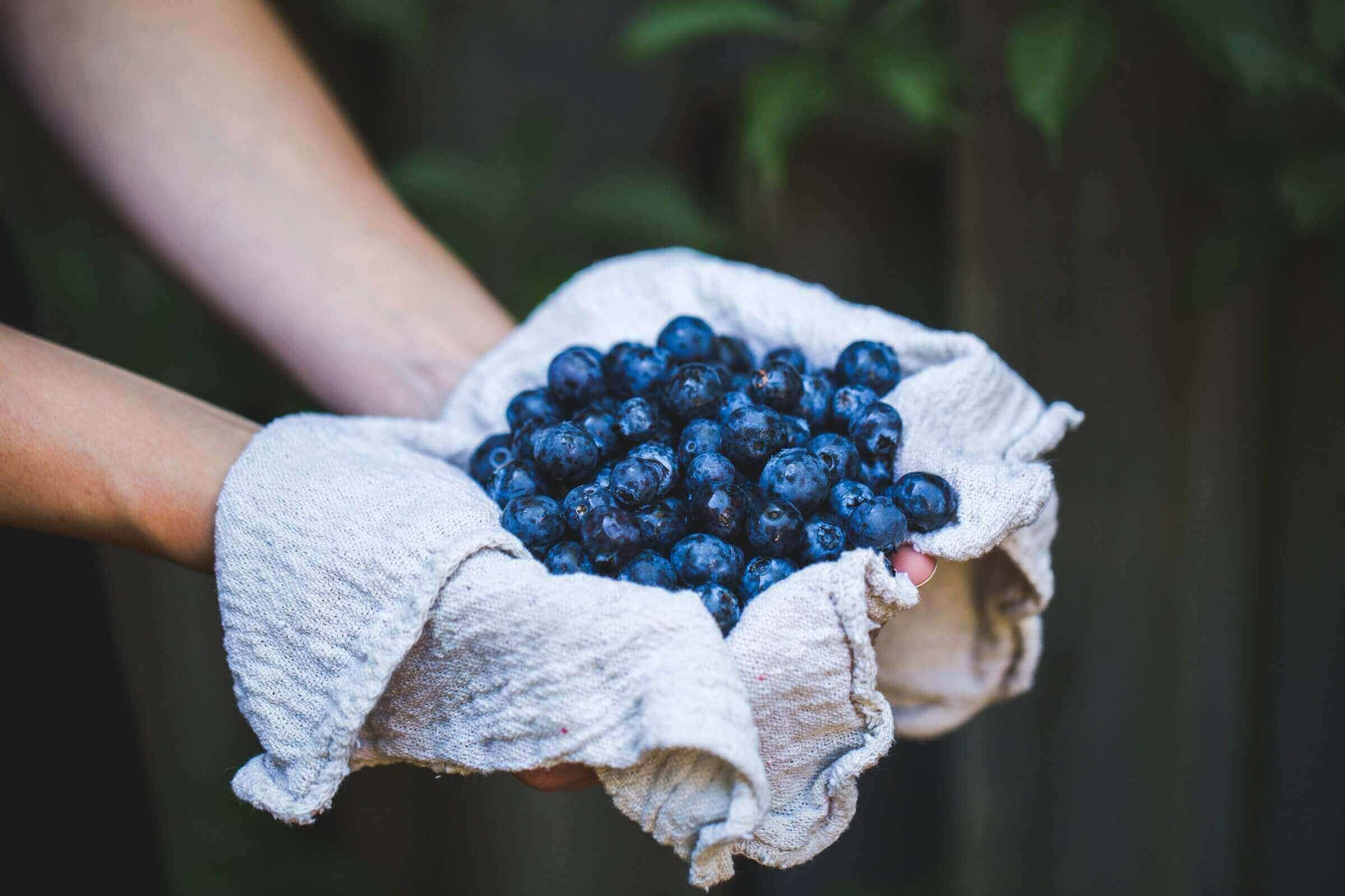 Berries.jpeg