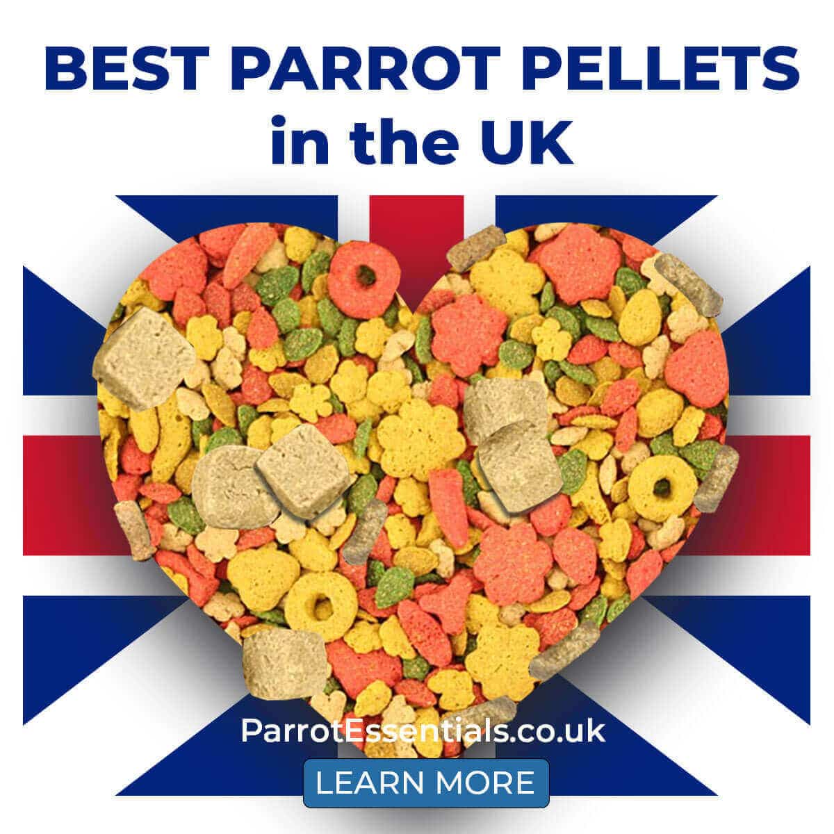 Best Parrot Pellets in the UK - A Comprehensive Guide