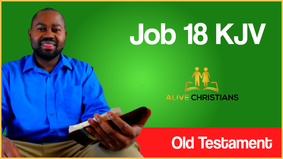 Job 18 KJV with Audio - Then answered Bildad the Shuhite, and