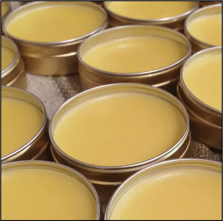Honey Lip Balm