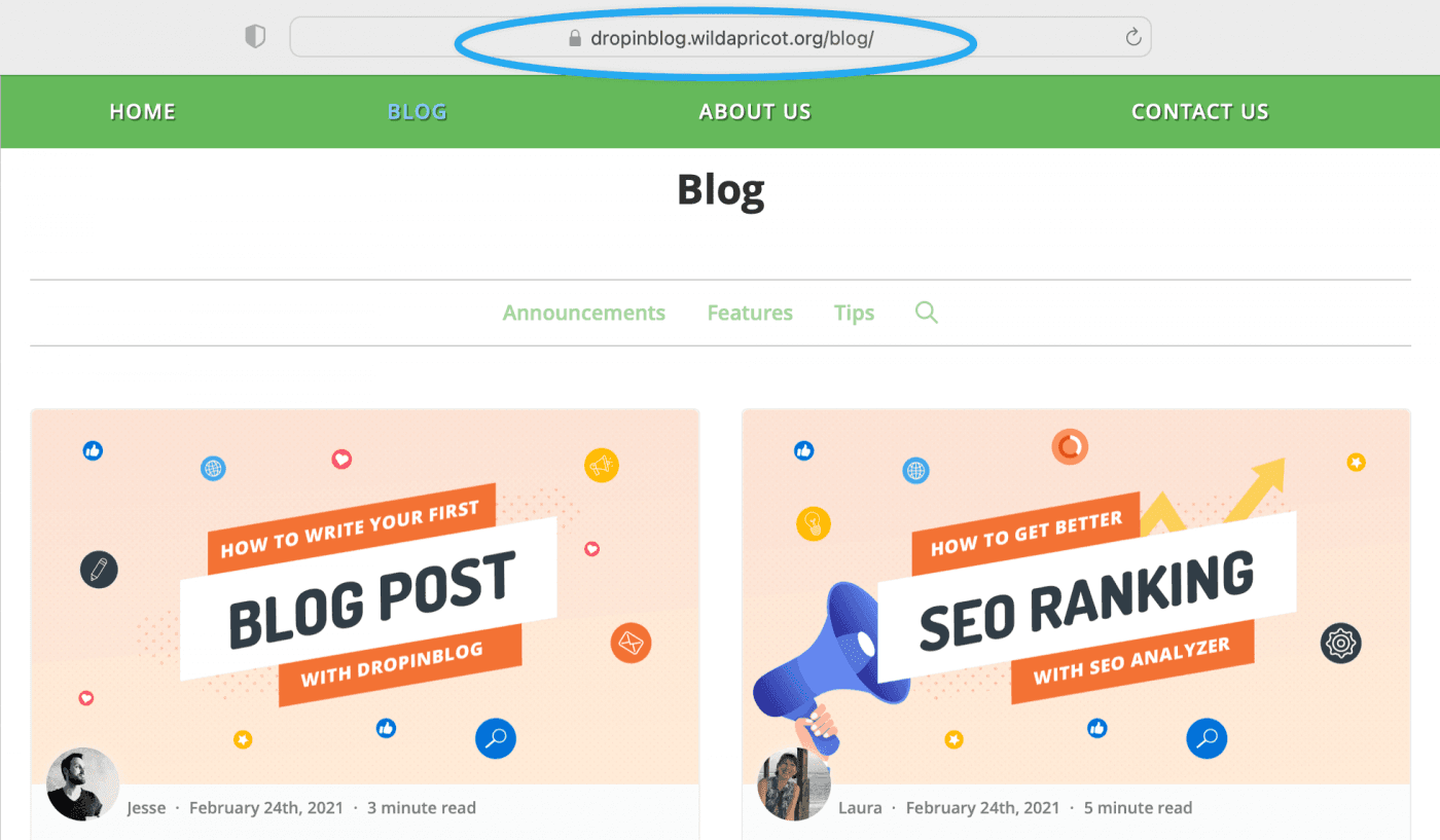 WildApricot blog install step