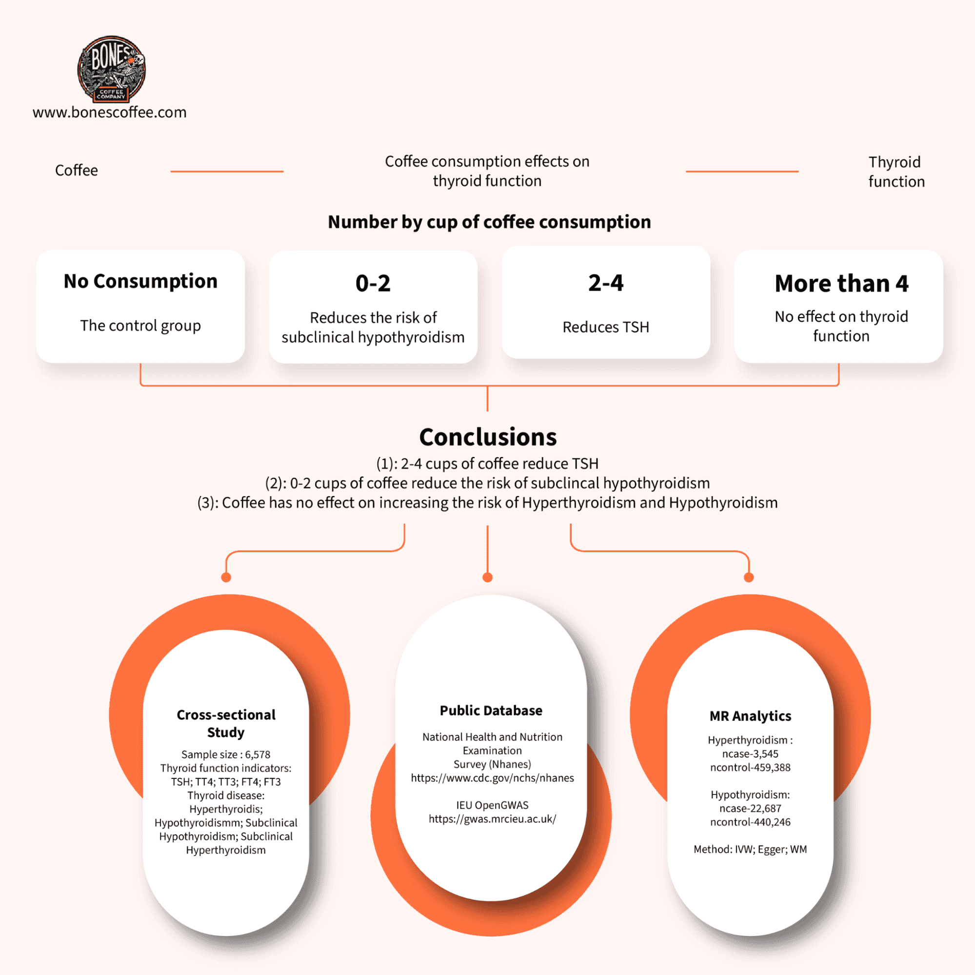 Infographic showing coffee consumption levels and their effects on thyroid function and subclinical hypothyroidism.
