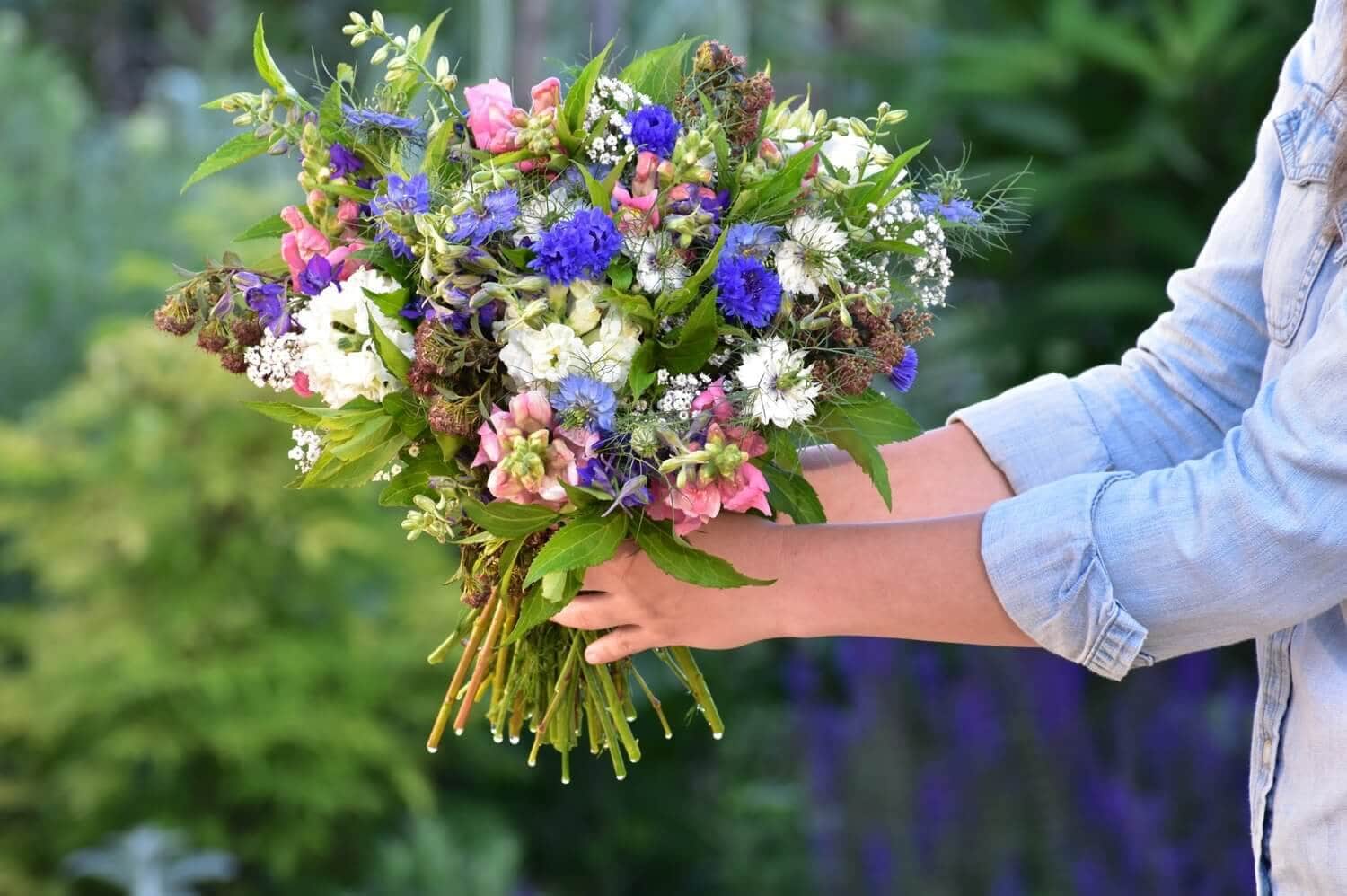 Essential Cut Flower Gardening Books - Longfield Gardens