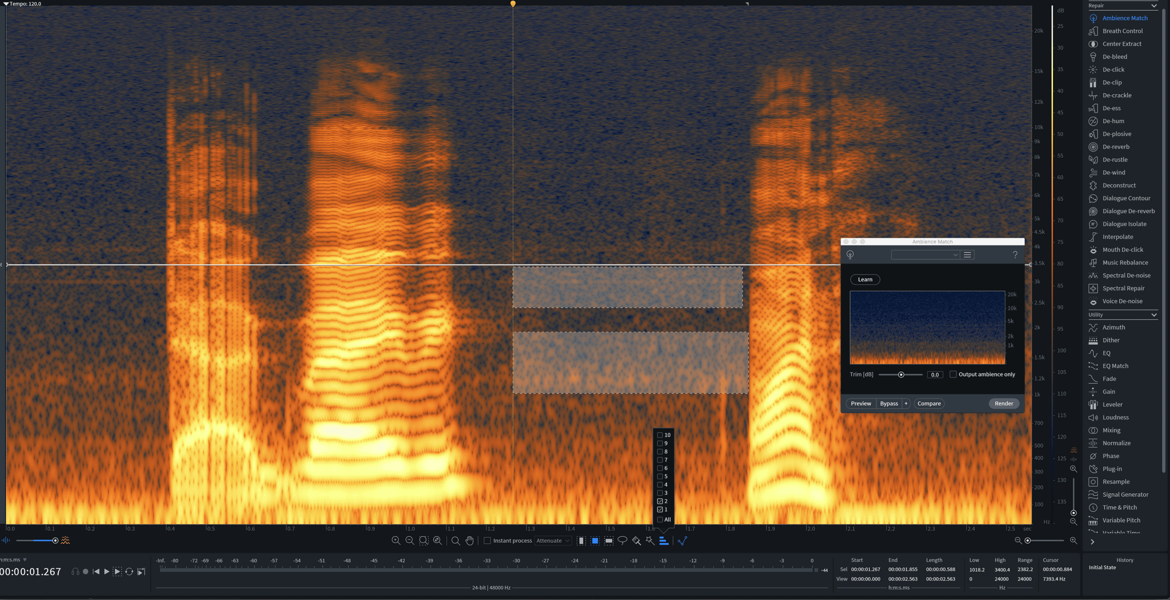 Ambience selected with the R hotkey in RX to run through the Ambience Match module