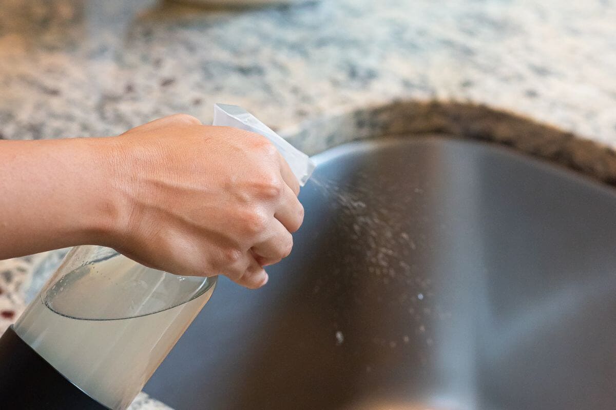 Wait. What is a probiotic cleaner anyway?