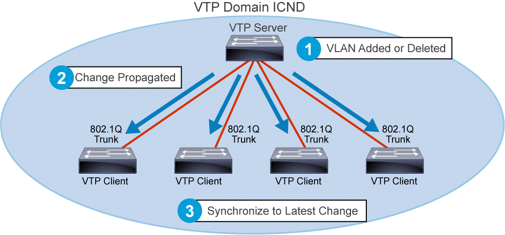DTP Dynamic Trunking Protocol VLAN Trunking Protocol