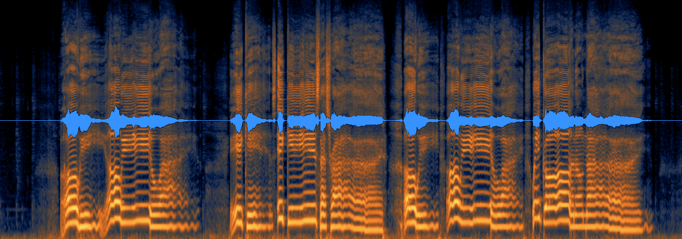 Raw vocal - before Repair Assistant