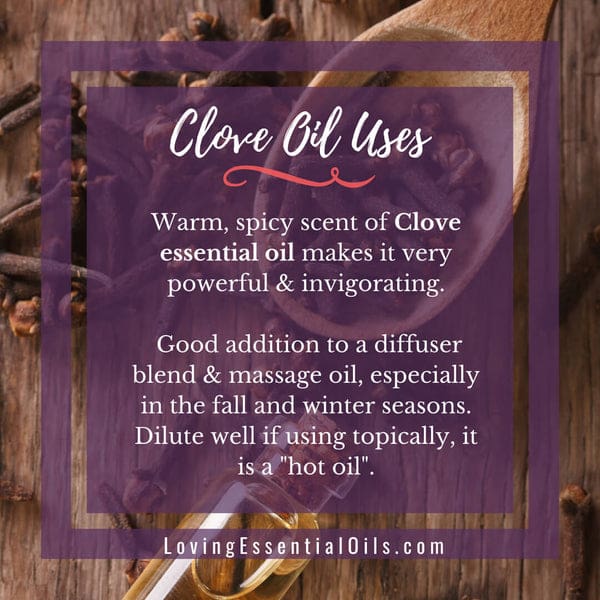 Clove Essential Oil Diffuser Benefits by Loving Essential Oils