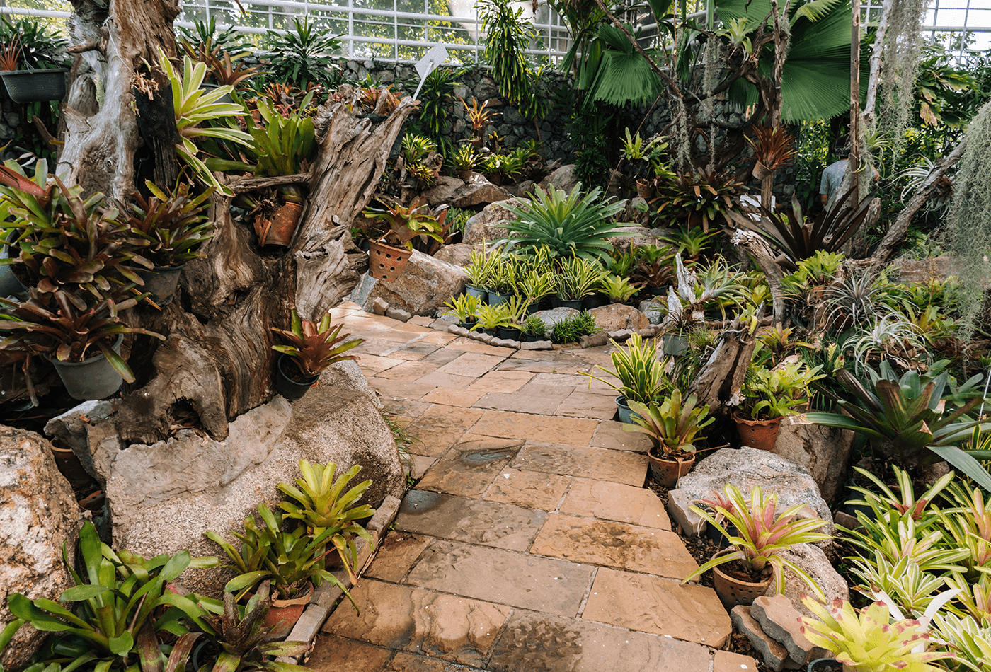 Creative Garden Design Ideas For Your Outdoor Oasis
