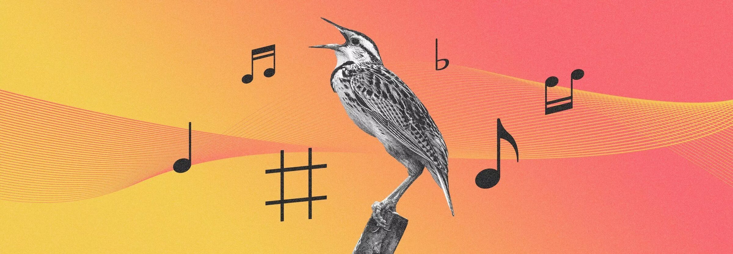 The fundamentals of vocal pitch correction