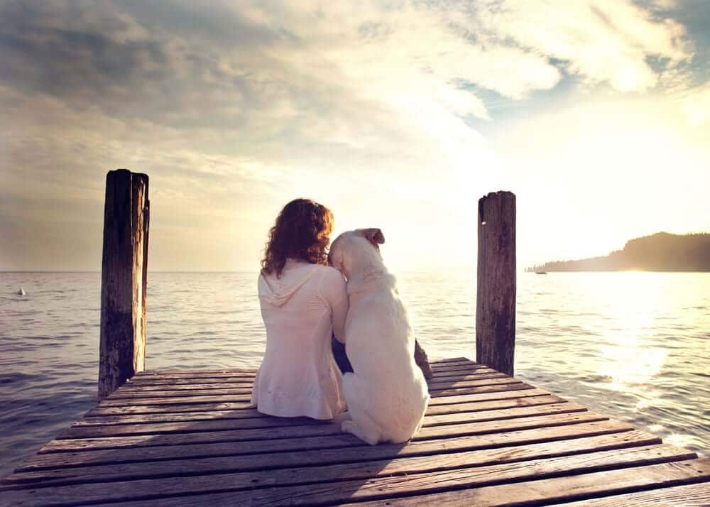October is Adopt A Shelter Dog Month