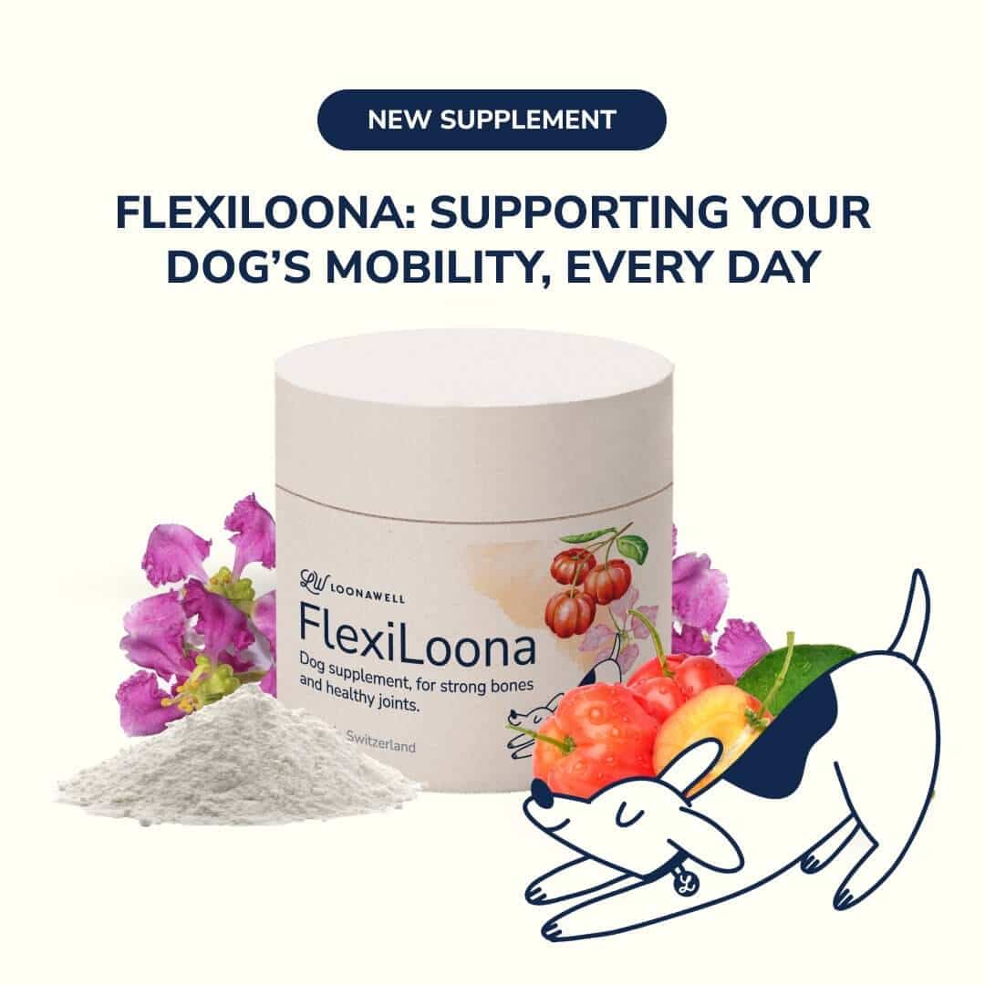 FlexiLoona: Supporting Your Dog’s Mobility, Every Day