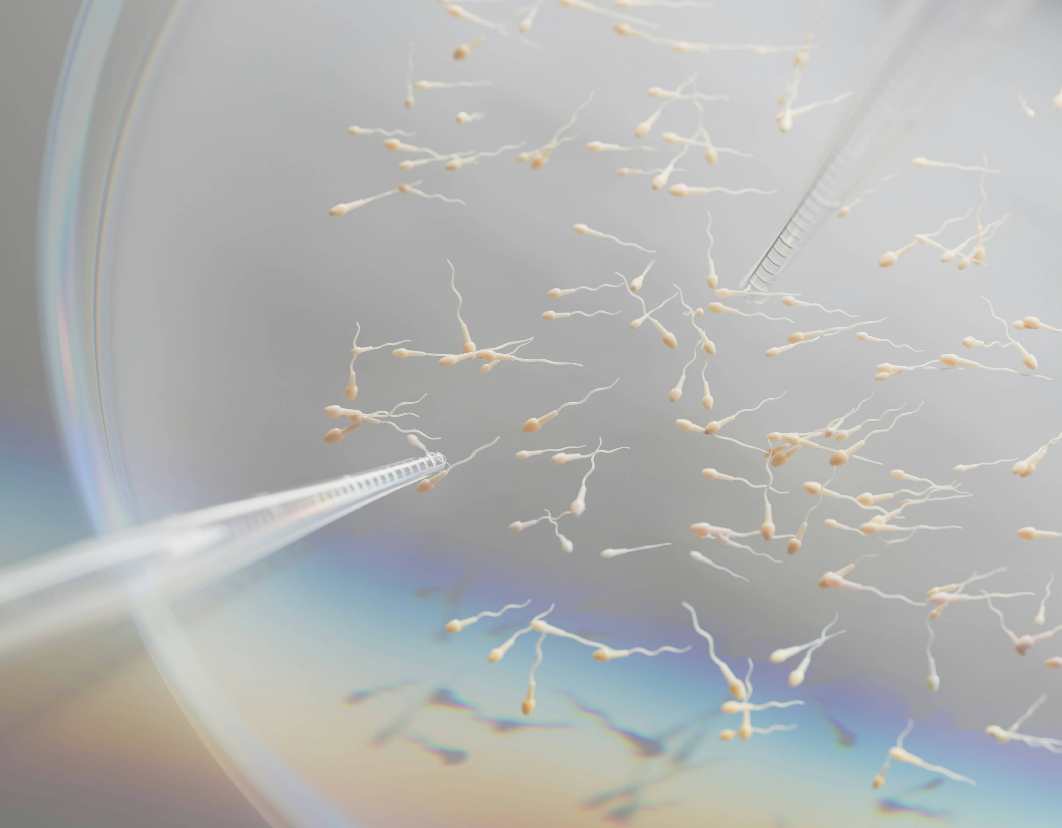 10 Tips to Increase Sperm Motility Naturally