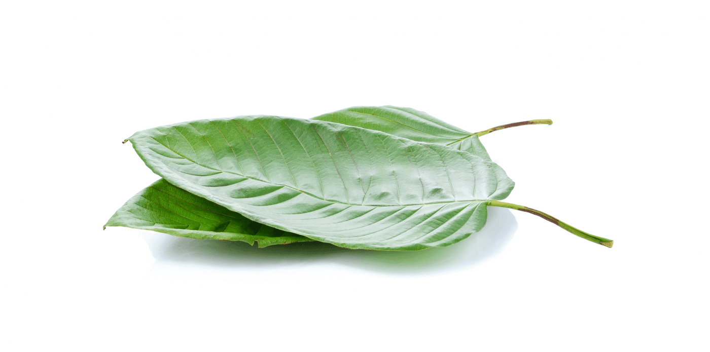 How is Kratom Made