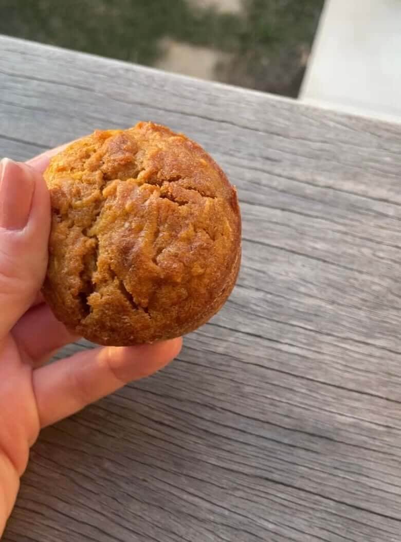 Healthy Pumpkin Muffins (kids love them)