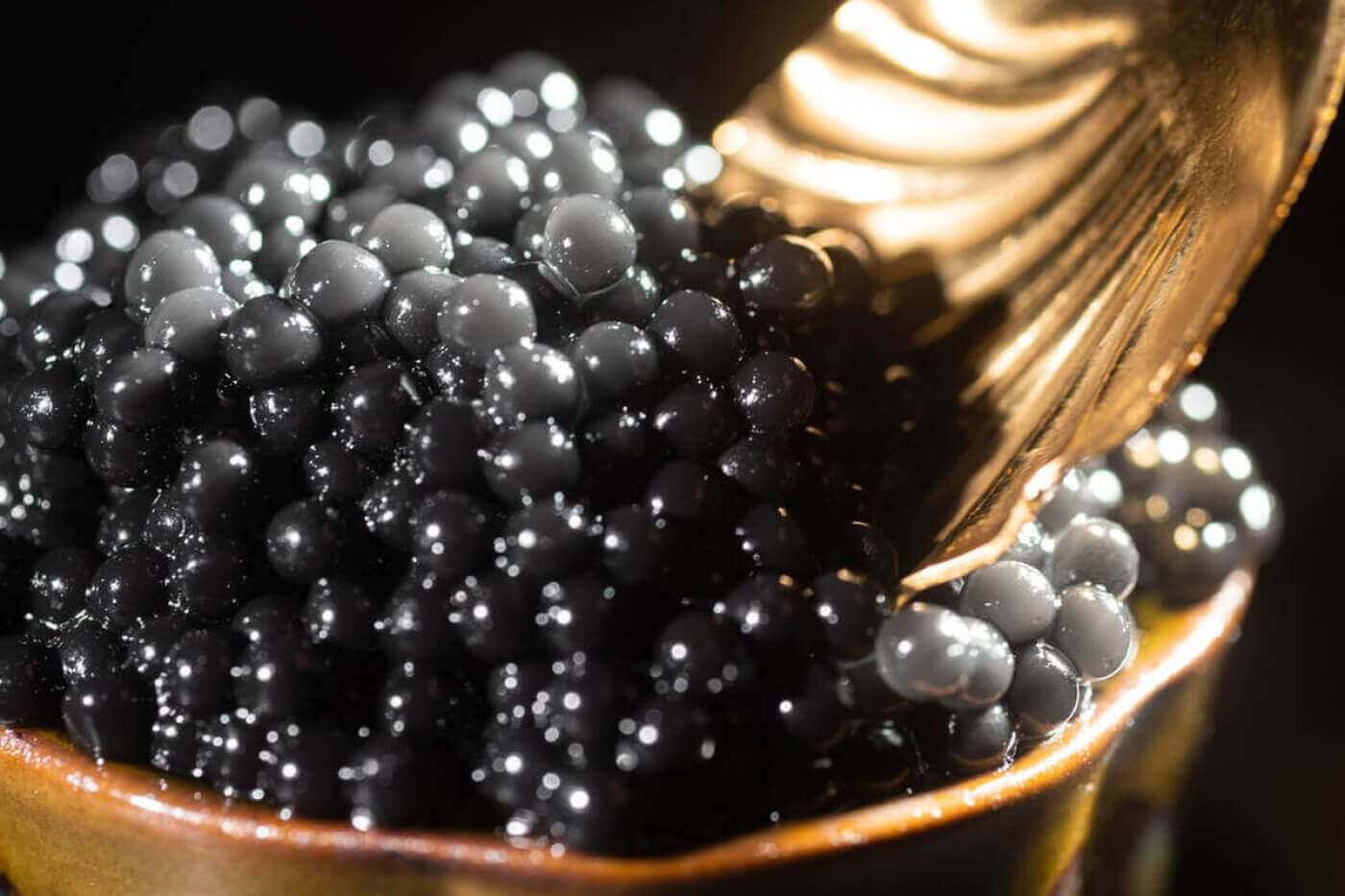 Caviar Pairings: Perfecting the Art of Accompaniments