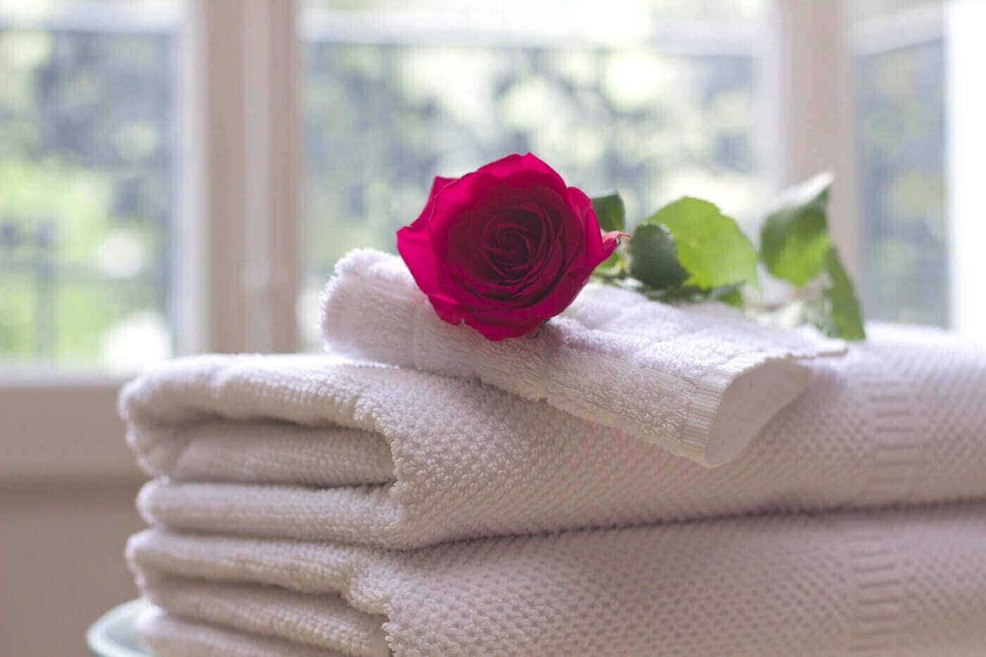 Bath Towel Reviews