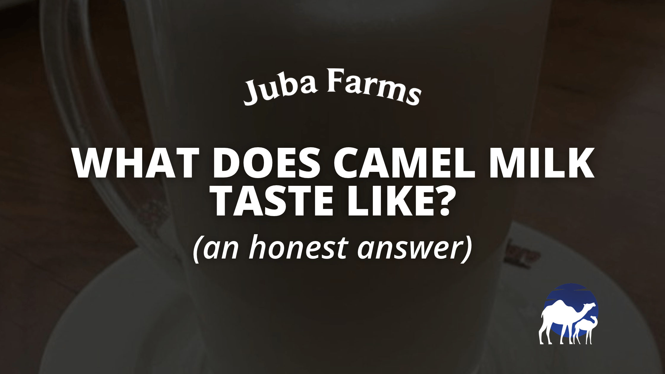 What does camel milk taste like: a glass of camel milk