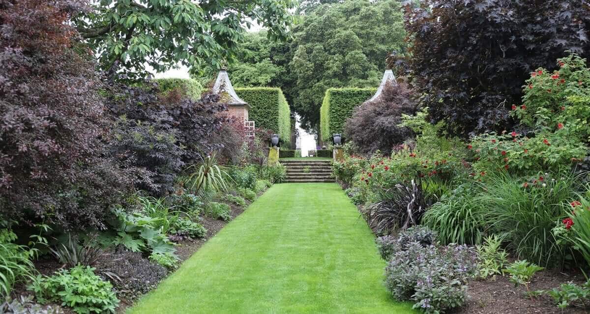 How to Use Red in Your Flower Garden - Longfield Gardens