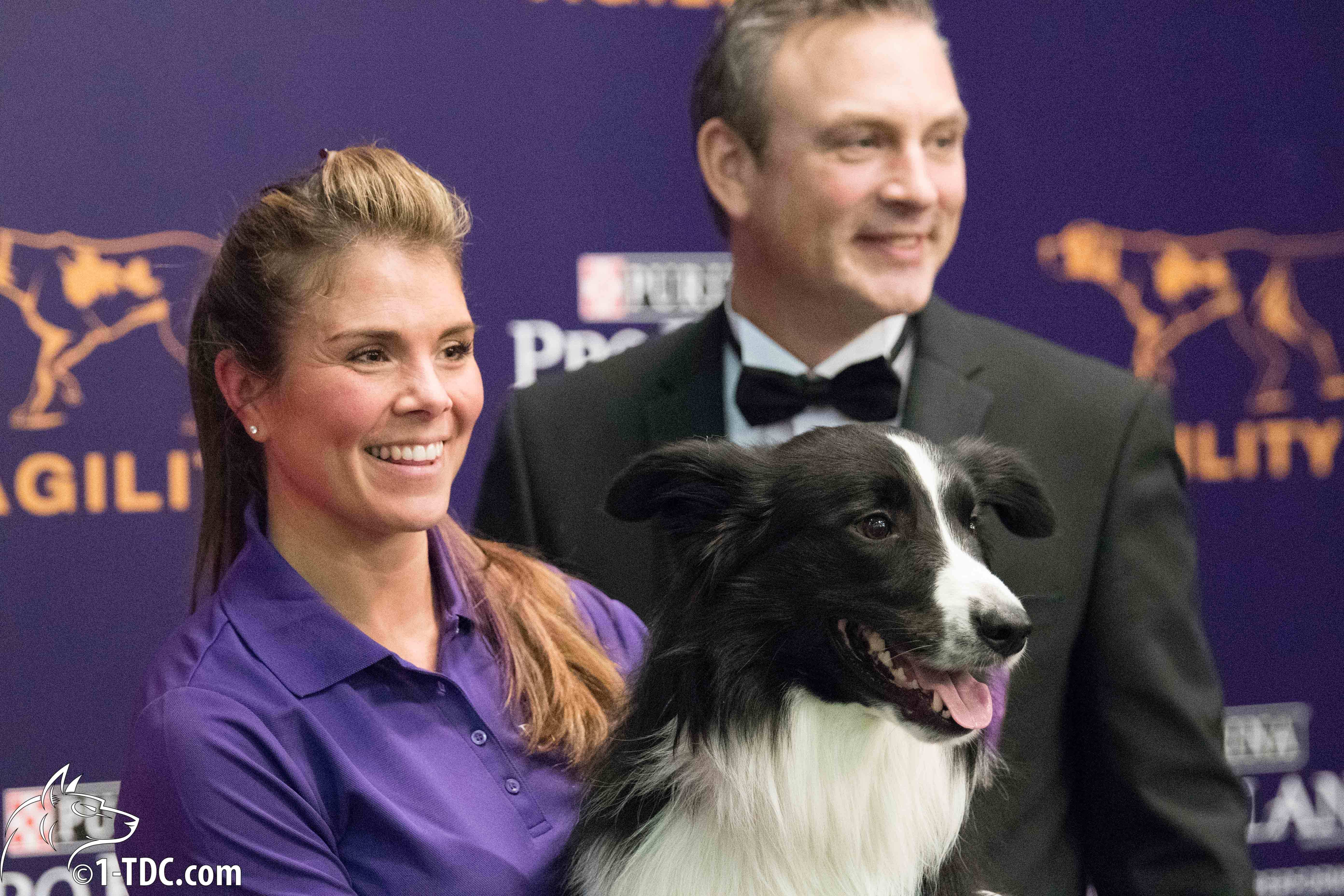 Interview with Westminster Agility Champion Amber McCune and Border Collie Kaboom