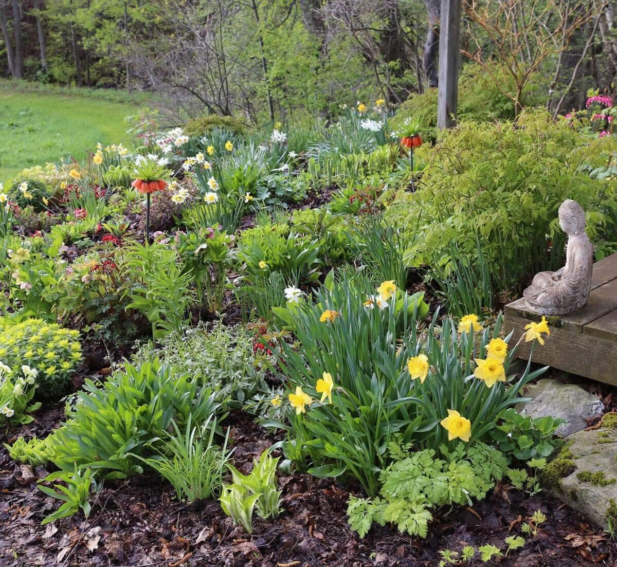 Spring Checklist for Flower Gardeners - Longfield Gardens