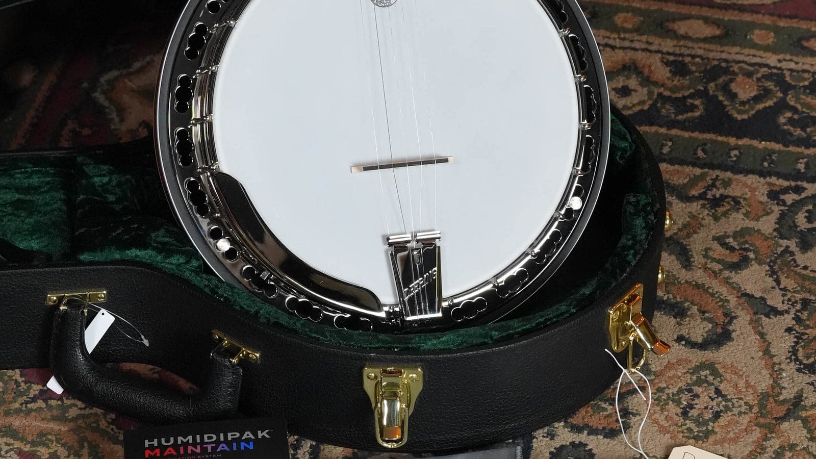Deering Sierra Banjo or a Goodtime? How to Choose Your Deering