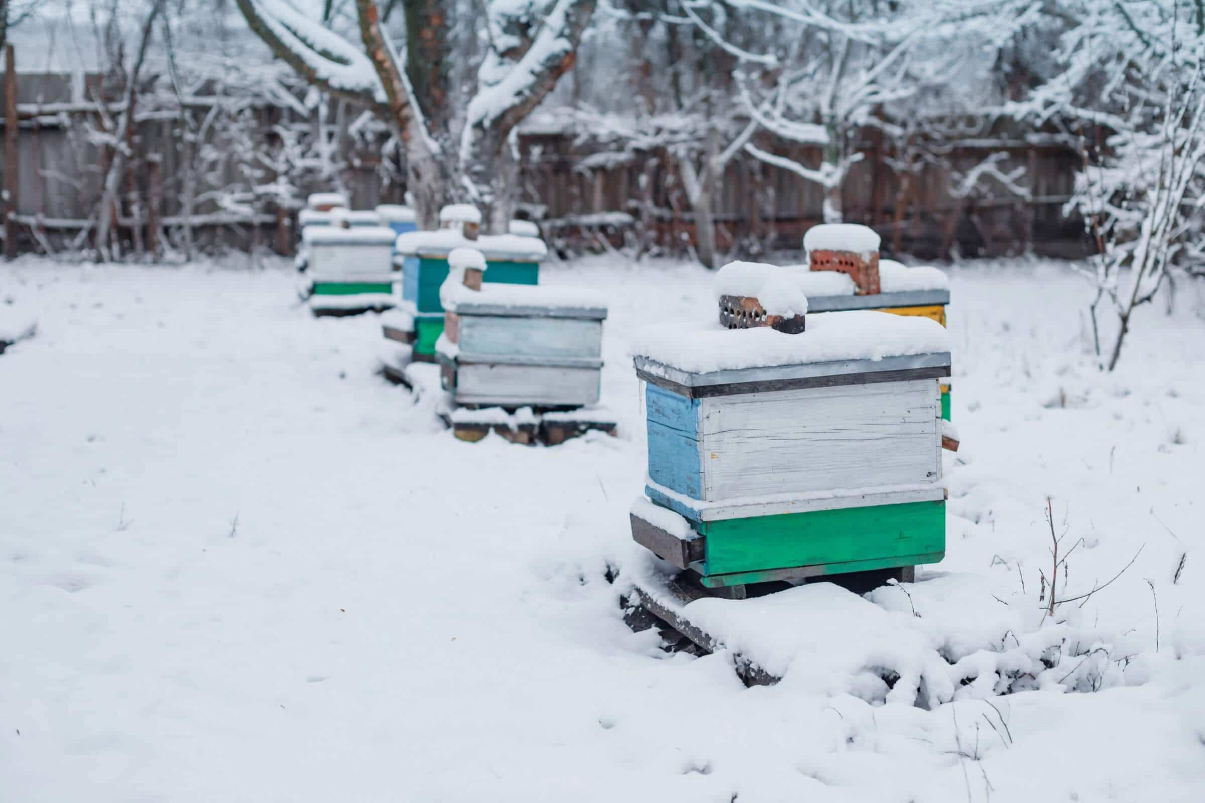 Storing Beekeeping Equipment for Winter
