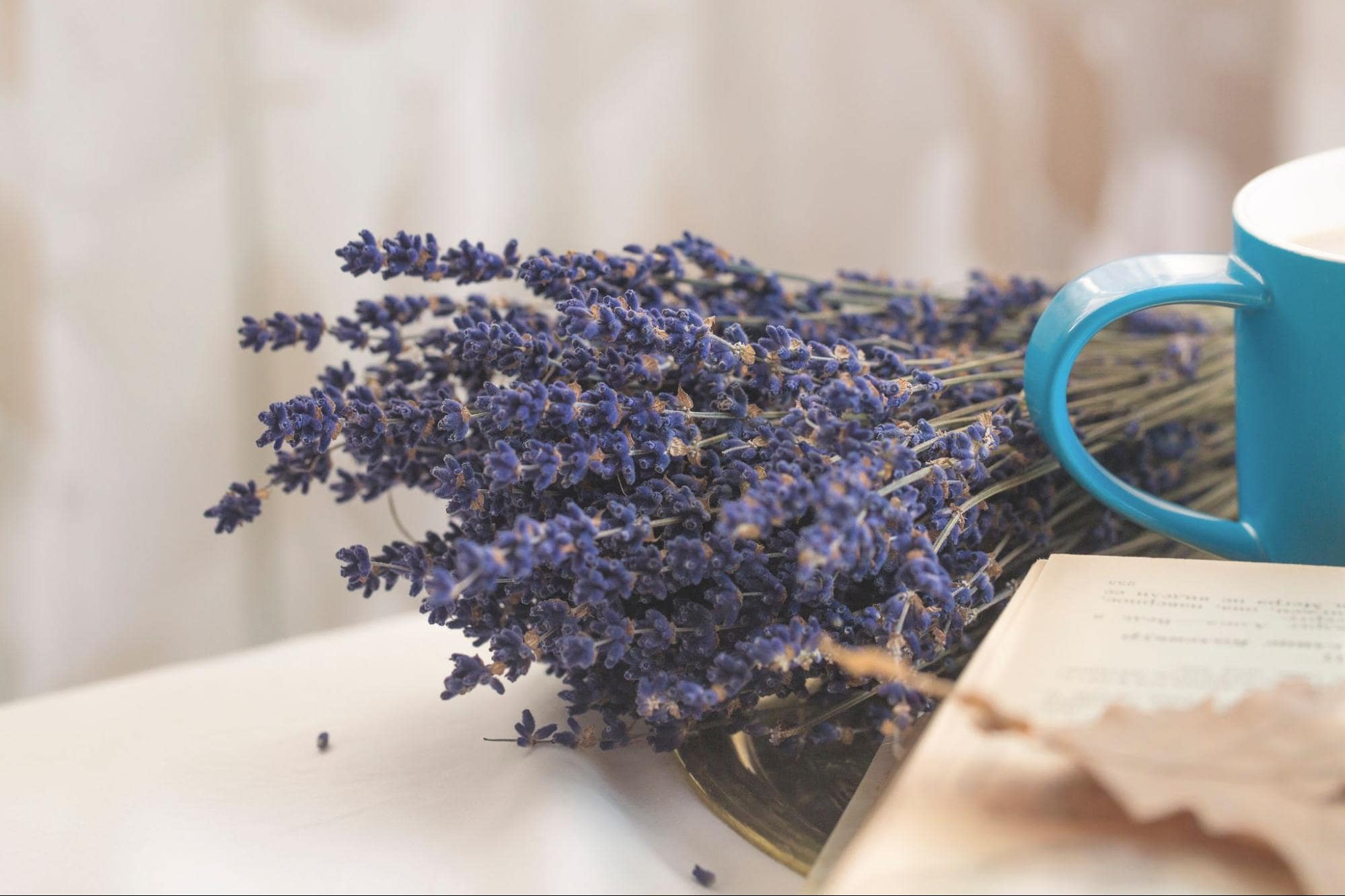 Bundle of Lavendar