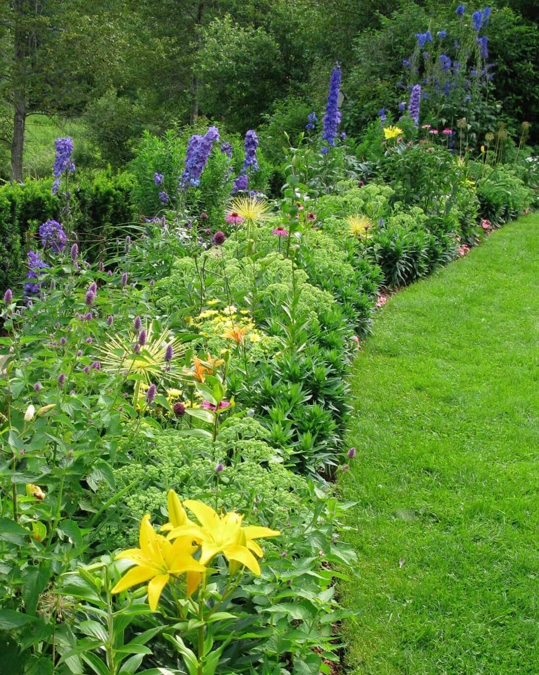 6-Tips-for-Controlling-Weeds-in-Your-Flower-Garden-Longfield-Gardens