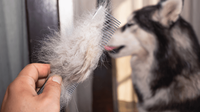 The Coat Release Method
