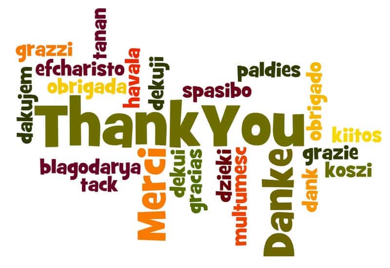 thank you from hummingbird networks