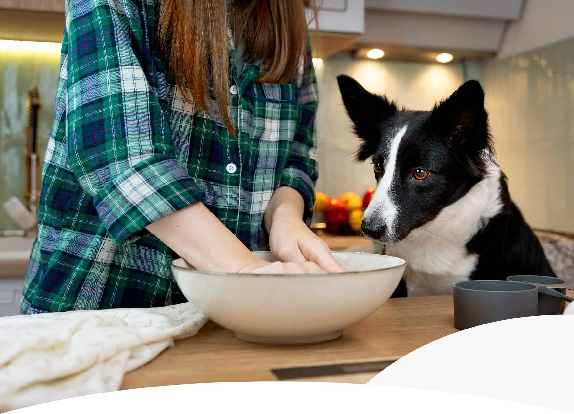 Meal prep for dogs