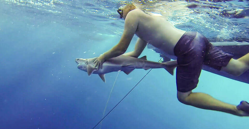 An Interview with Chris Maxey, Co-Founder of the Island School