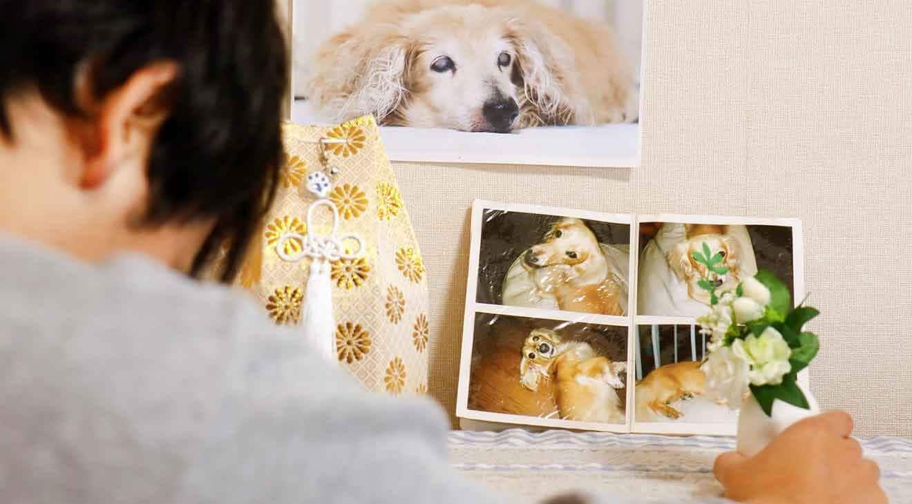 How to Cope With the Death of a Pet