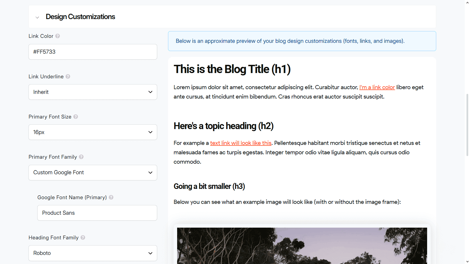 Design customizations available with DropInBlog