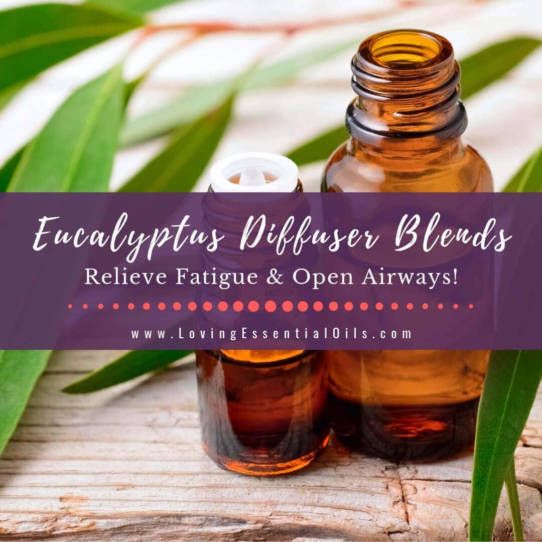 Eucalyptus diffuser blends – 10 essential oil recipes for easy breathing