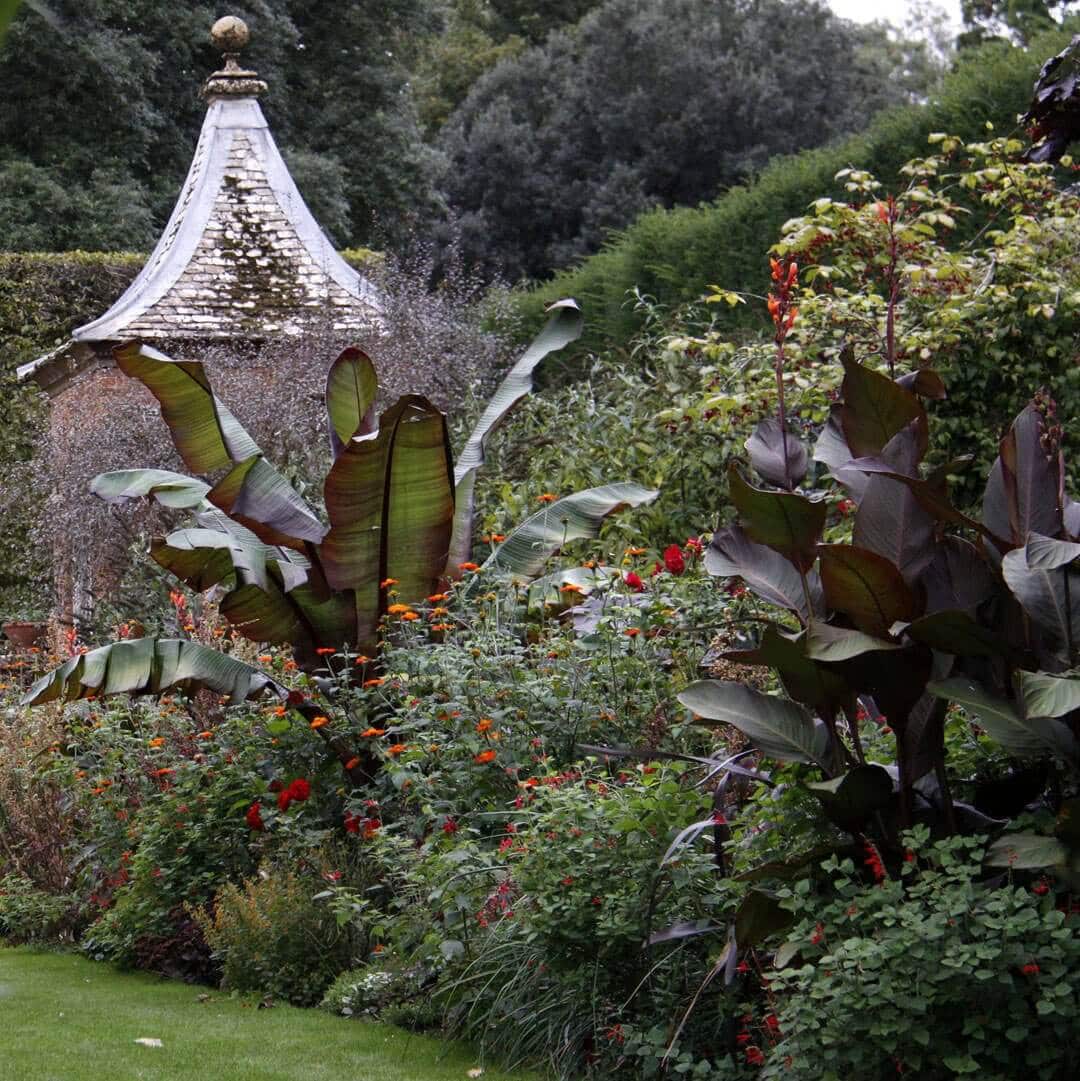 How to Use Red in Your Flower Garden - Longfield Gardens
