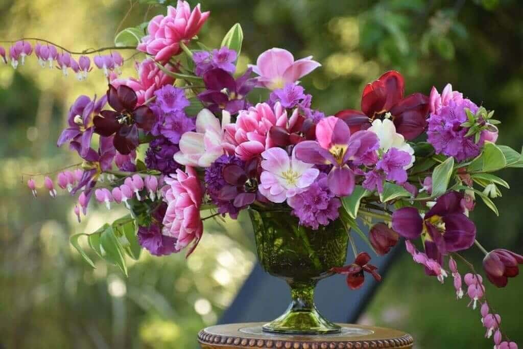 Tips for Using Tulips as Cut Flowers Longfield Gardens