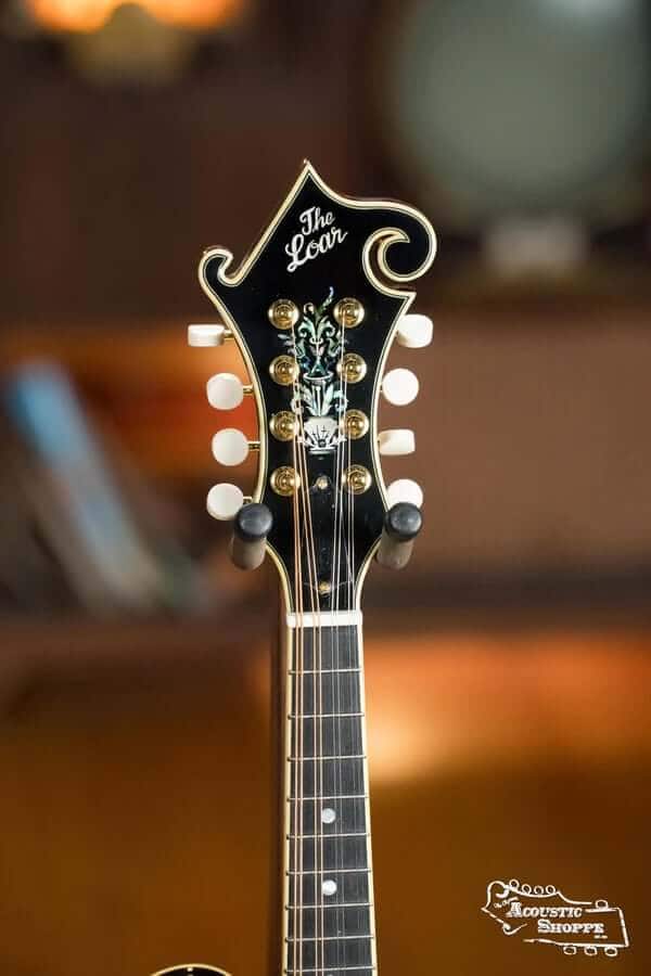 F-style mandolin headstock the Loar LM-700 Mandolin