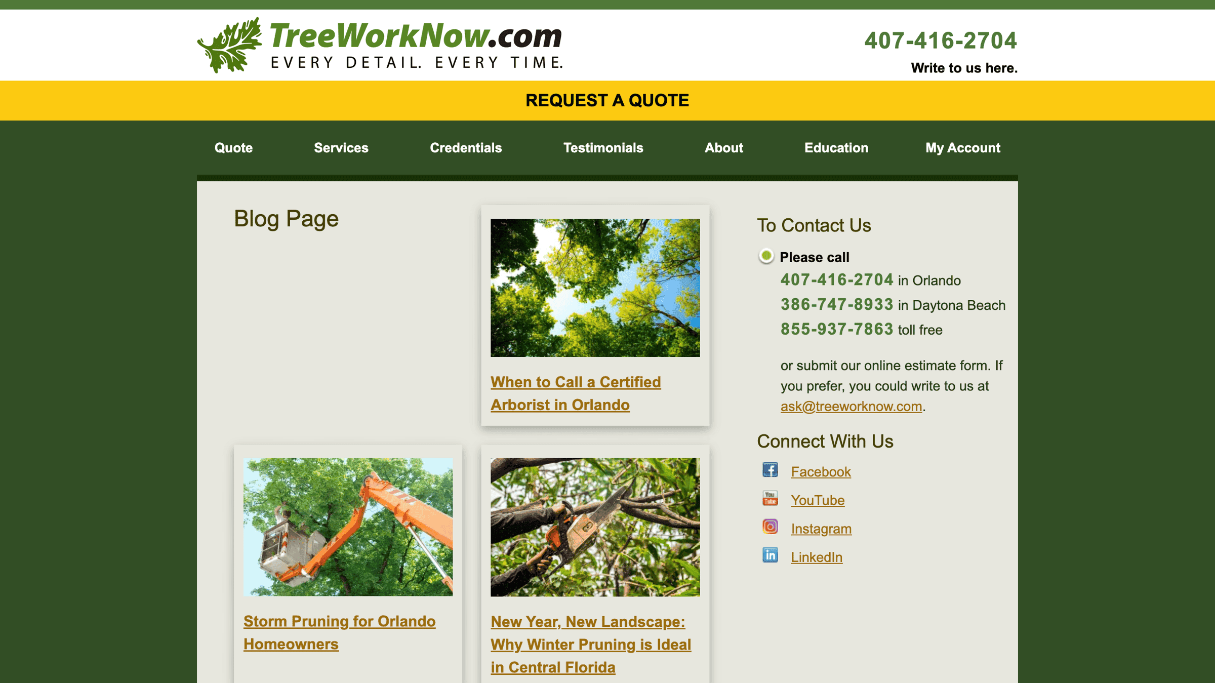 Tree Work Now Blog