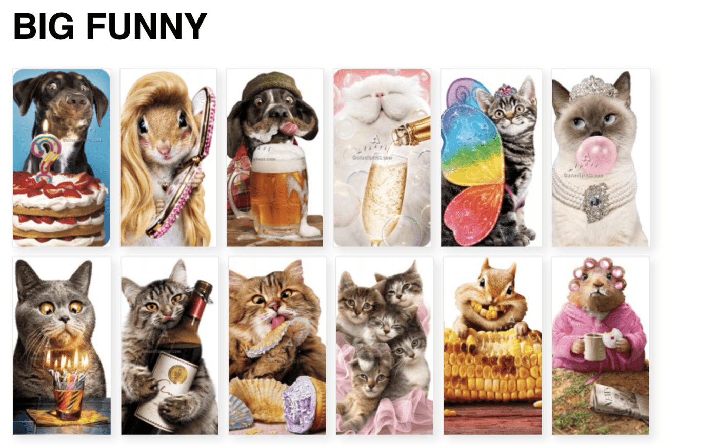Avanti Press - A Creative Leader in Greeting Cards and Innovation