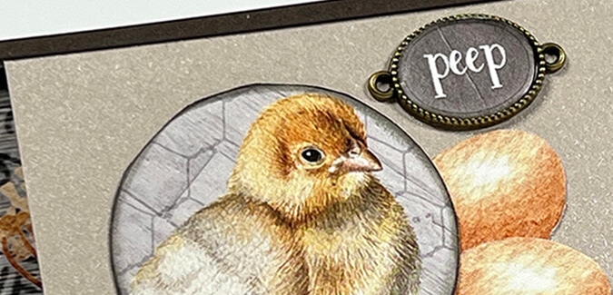 The Roost Podium Book - A closer look.