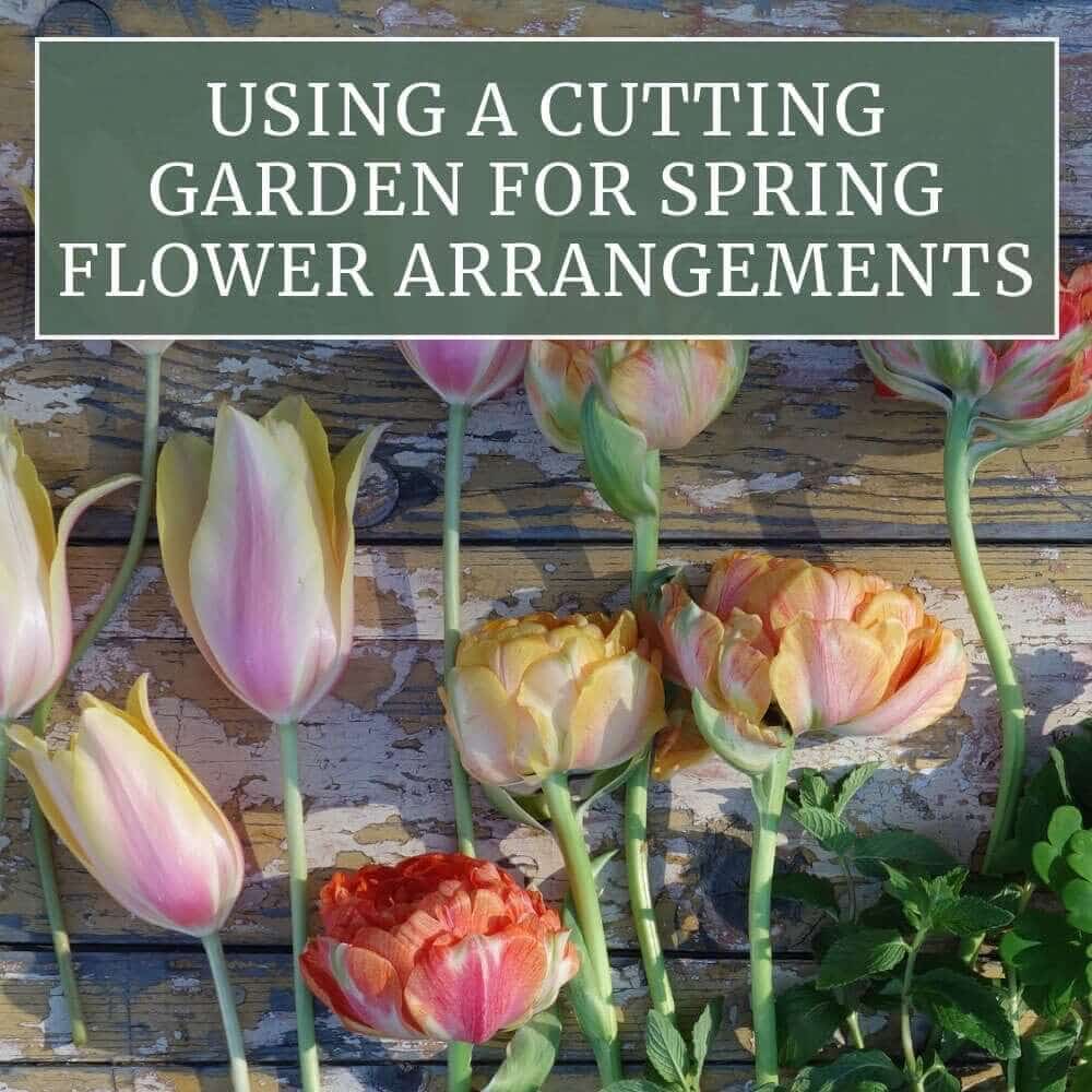 Using a Cutting Garden for Spring Flower Arrangements - Longfield Gardens