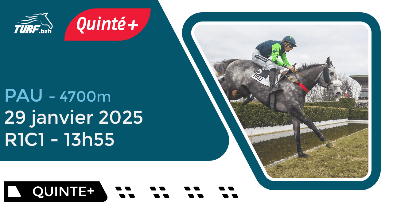 Quinté Pau : Analyse et Pronostic du 29 Janvier 2025