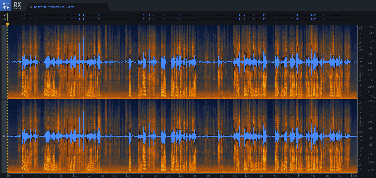 Just looking at this waveform cannot communicate the horror of this interview. Check the audio file if you dare…