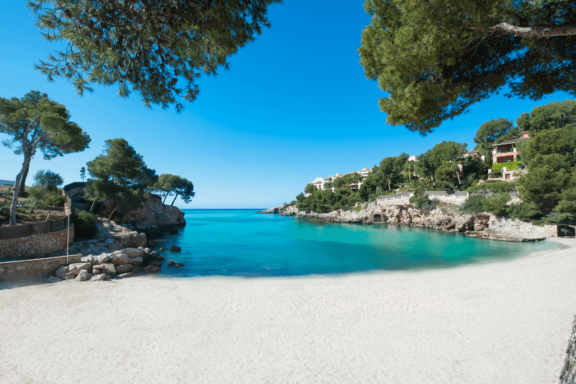 Focus on Portals Nous, Mallorca