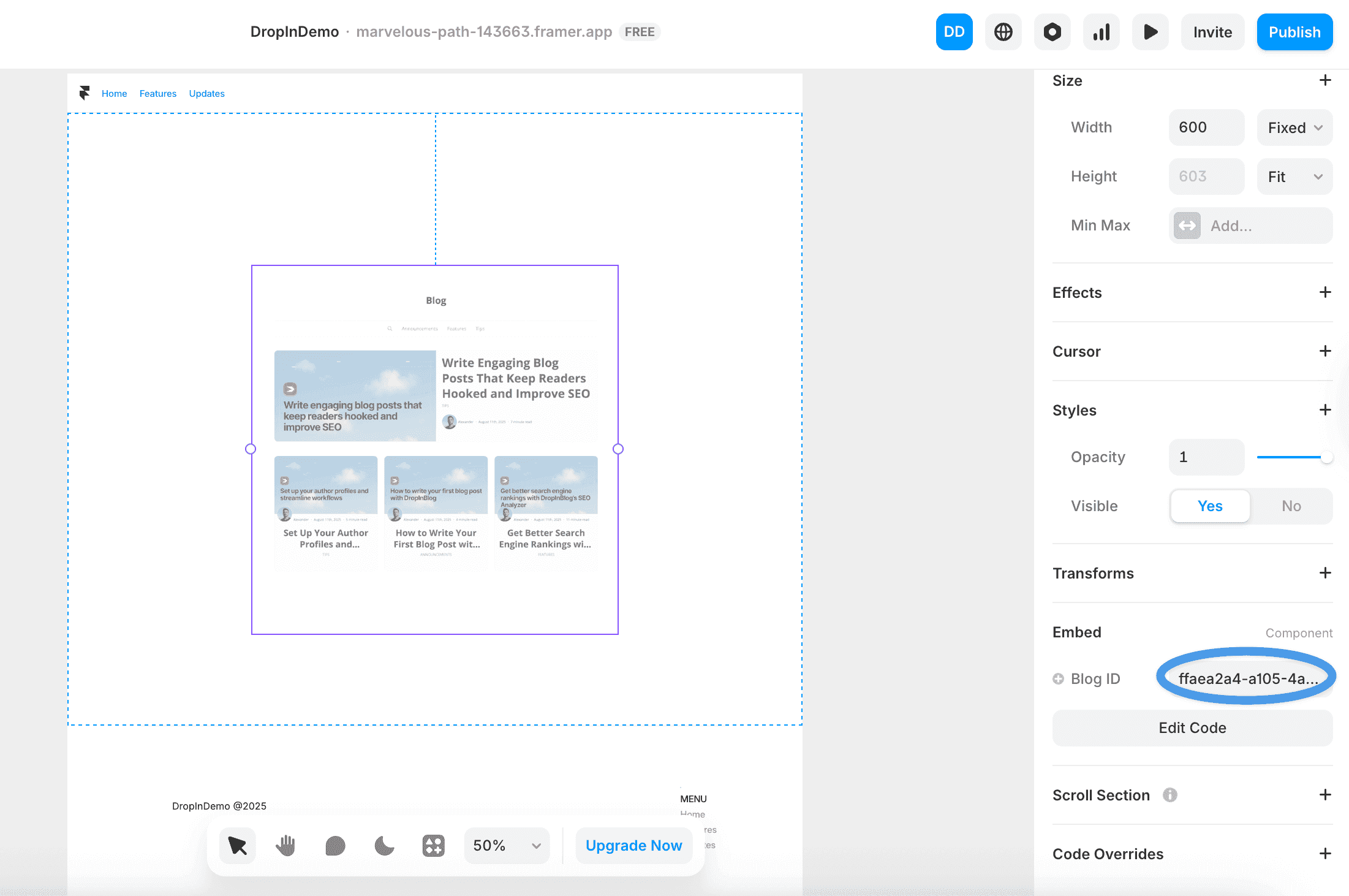 Framer blog install step