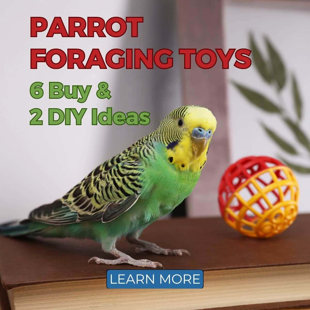 Parrot Foraging Toys - 6 Buy & 2 DIY Ideas