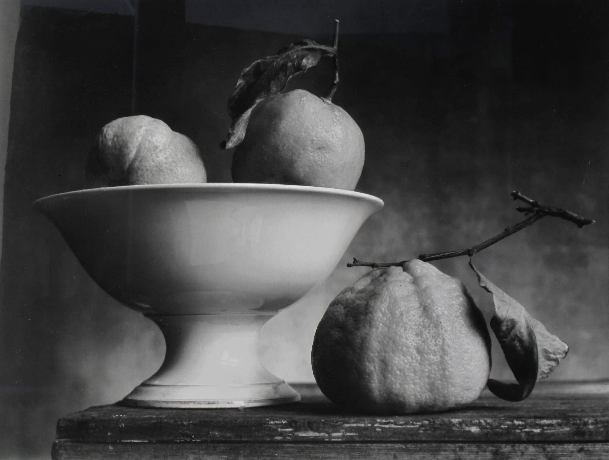 Still life Photography: Christian Coigny & Daniel Remer in Conversation